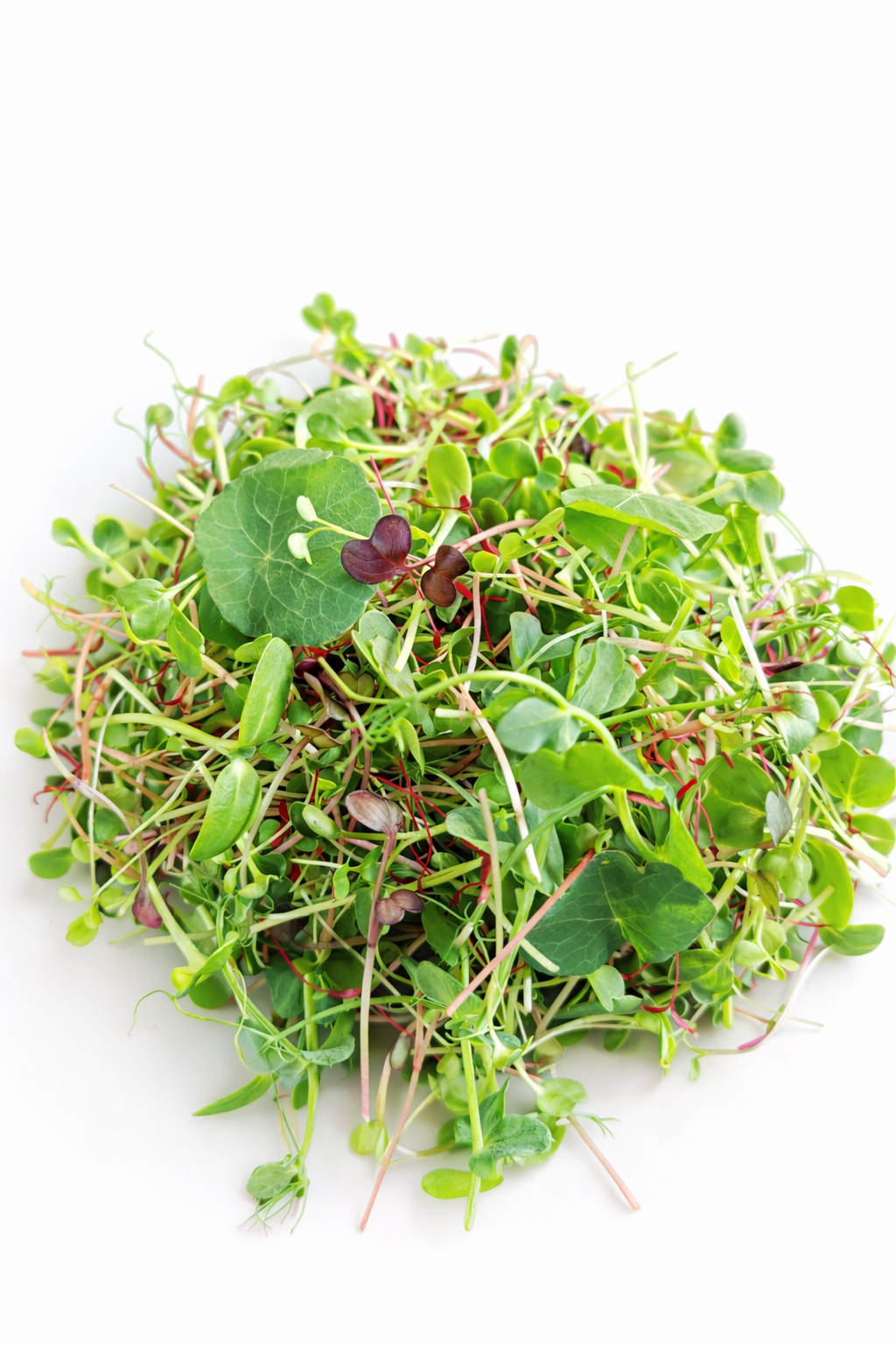 Vital Mix – der nährstoffreichste Mix